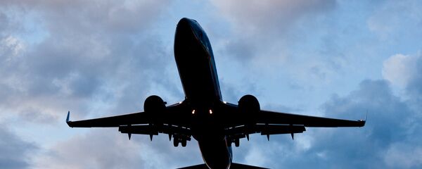 Boeing 737-800 Boeing 737-800 - Sputnik 日本
