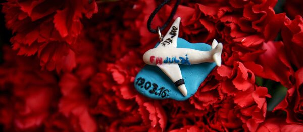 Boeing-737 - Sputnik 日本