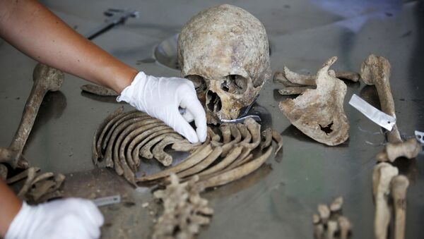 沖縄で日本最古の全身人骨が見つかる【写真】 - Sputnik 日本