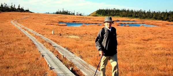 日本の高齢者、極度の貧困により進んで刑務所へ - Sputnik 日本