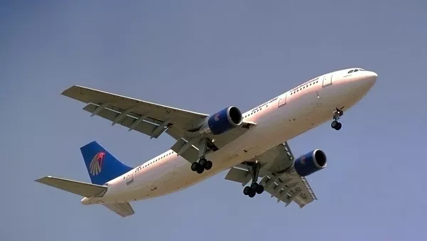EgyptAir - Sputnik 日本