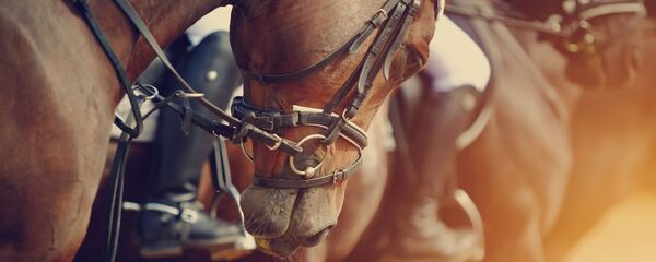 競馬 - Sputnik 日本