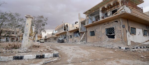 露米 「ダーイシュ」の「首都」解放について協議 露米 「ダーイシュ」の「首都」解放について協議 - Sputnik 日本