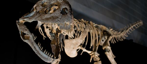 世界20か国の学者ら　今年8月　恐竜研究のためシベリアへ - Sputnik 日本