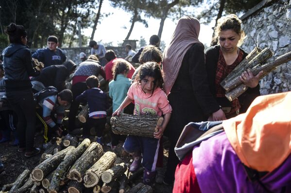 難民ら、ギリシャのイドメニ島で焚き火のための小枝を収集 - Sputnik 日本