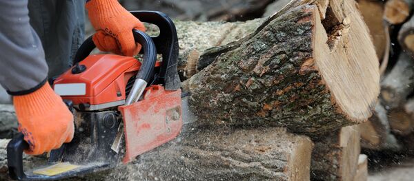 メキシコで7人の首なし木こりの遺体発見 - Sputnik 日本