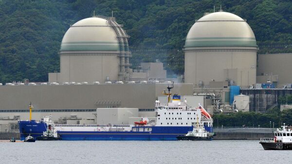 高浜原発３号機が運転再開、油漏れへの対応で１日遅れ＝関電 - Sputnik 日本