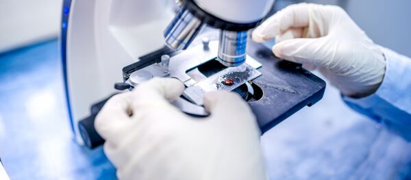 研究 研究 - Sputnik 日本