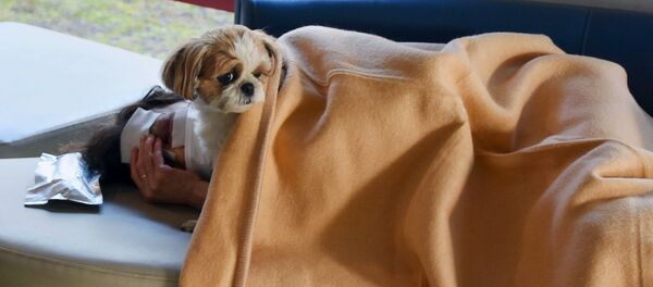 避難中の熊本地震の被災者　テント村から暑さのため別の場所へ - Sputnik 日本