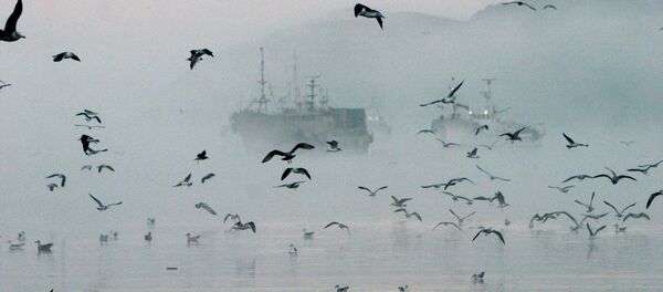 サハリン州 - Sputnik 日本