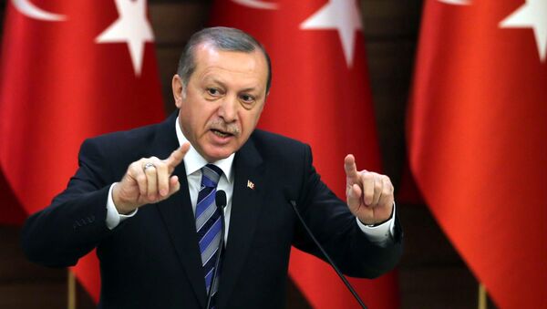 Президент Турции Реджеп Эрдоган в Анкаре - Sputnik 日本