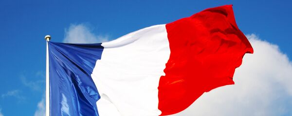 フランス議会　対ロシア制裁解除について協議へ - Sputnik 日本