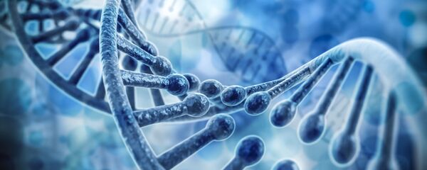 古代のガムからヴァイキングの移住が明らかに 古代のガムからヴァイキングの移住が明らかに - Sputnik 日本