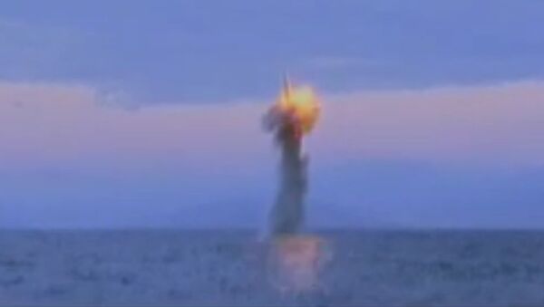 聯合通信：北朝鮮、潜水艦から弾道ミサイル発射 - Sputnik 日本