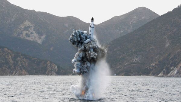 北朝鮮ミサイルの破片、日本の海岸に打ち上げ - Sputnik 日本