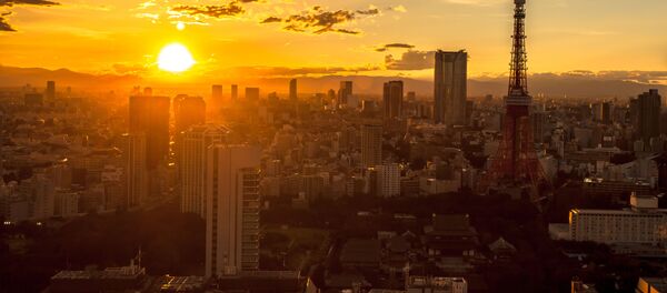 日本　「Go To トラベル」を全国一斉に停止へ　12月28日から1月11日まで - Sputnik 日本