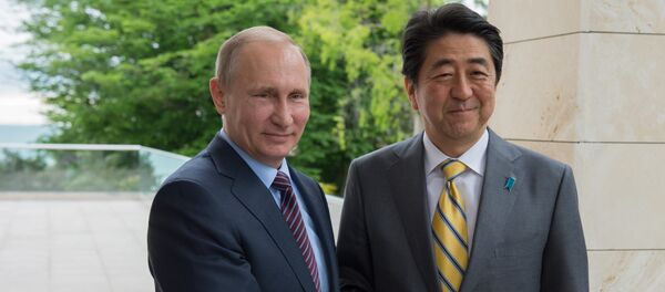 安倍・プーチン対談、内容よりも重要なのは雰囲気 安倍・プーチン対談、内容よりも重要なのは雰囲気 - Sputnik 日本