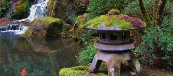 英国人元仏教徒、砂漠にとうとう念願の日本庭園を作る 英国人元仏教徒、砂漠にとうとう念願の日本庭園を作る - Sputnik 日本