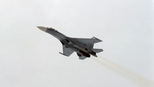 Su-27 - Sputnik 日本