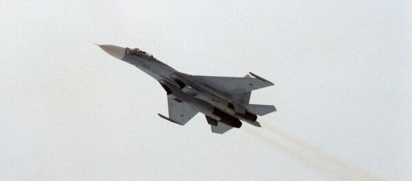 ロシア戦闘機 【アーカイブ写真】 ロシア戦闘機 【アーカイブ写真】 - Sputnik 日本