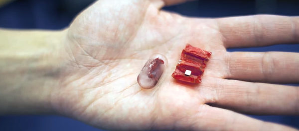 豚の内臓で作られたロボット - Sputnik 日本