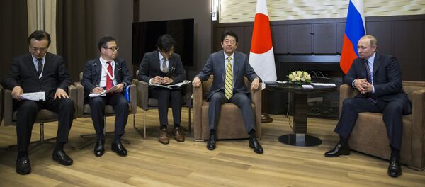 露日ソチ首脳会談 露日ソチ首脳会談 - Sputnik 日本