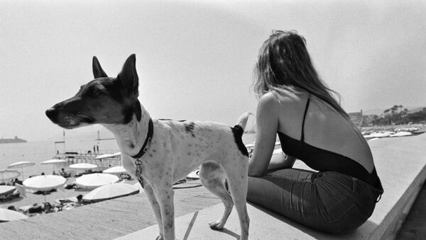 犬と浜辺で、１９７９年のカンヌ - Sputnik 日本