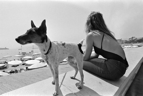 Девушка и собака на пляже в Каннах - Sputnik 日本
