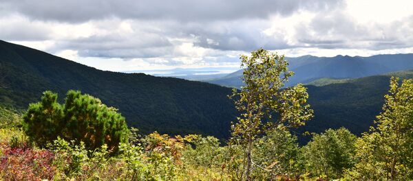 サハリン - Sputnik 日本