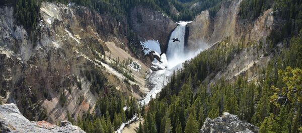 イエローストーンで「地球外」微生物見つかる 地球外生命体の可能性探求の一助になるか イエローストーンで「地球外」微生物見つかる 地球外生命体の可能性探求の一助になるか - Sputnik 日本