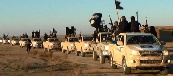 「ダーイシュ(IS)」戦闘員 硝酸入りタンクで25人を処刑 「ダーイシュ(IS)」戦闘員 硝酸入りタンクで25人を処刑 - Sputnik 日本