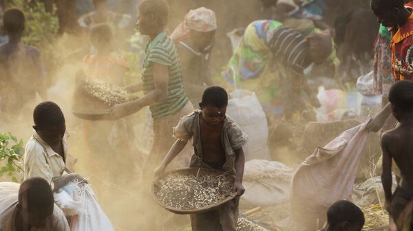 食糧不足で苦しむアフリカ諸国の1つ、マラウイで穀物を集める人々 - Sputnik 日本