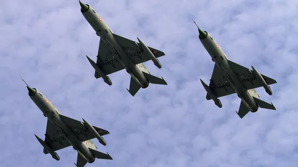 インド空軍機 - Sputnik 日本