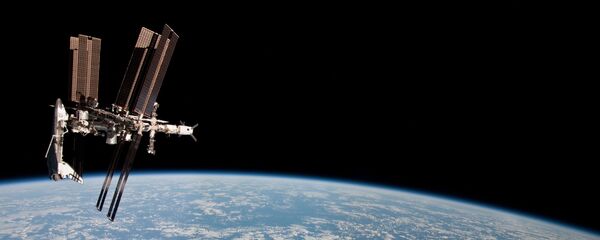 カビはISSの宇宙飛行士を殺す可能性ー学者 - Sputnik 日本