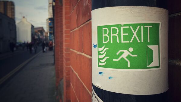 Sign supporting a British exit from the EU - Sputnik 日本