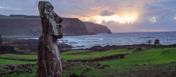 イースター島の彫像、地球温暖化の被害者になる可能性あり - Sputnik 日本