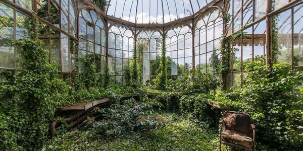 自然の豪華さ 自然の豪華さ - Sputnik 日本