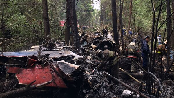 墜落したロシアのSu-27パイロット、自らの命を犠牲に村を救った - Sputnik 日本