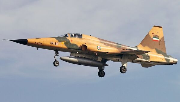 オランダ、航空ショーで戦闘機F-5墜落 - Sputnik 日本