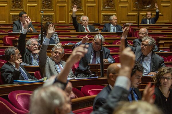 フランス上院、ロシアに対する制裁の緩和の是非を問う投票時の議員ら - Sputnik 日本