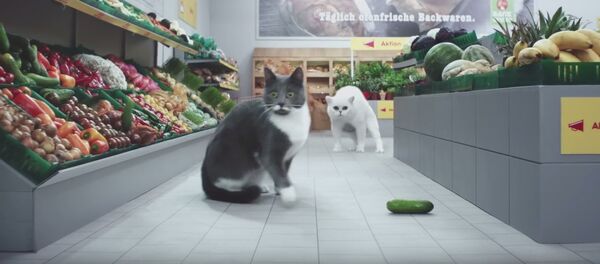 猫のお客さんがドイツのスーパーマーケットを宣伝 猫のお客さんがドイツのスーパーマーケットを宣伝 - Sputnik 日本