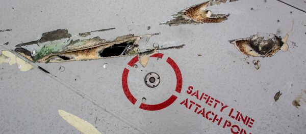 ドンバスに墜落したマレーシア機 - Sputnik 日本