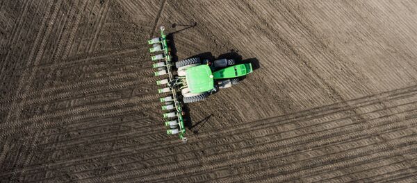 米農務省：ロシアは世界最大の小麦輸出国 - Sputnik 日本