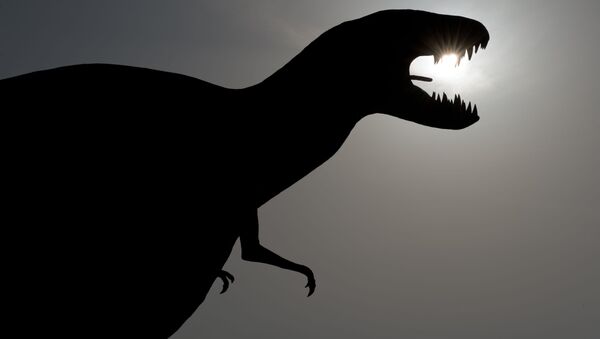 中国で恐竜の足跡が残っているけもの道が発見される - Sputnik 日本