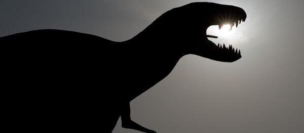 骨格に肉が残っている「恐竜の死骸」 インドで発見【動画】 骨格に肉が残っている「恐竜の死骸」 インドで発見【動画】 - Sputnik 日本