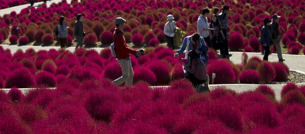 東京で外国客が散歩 - Sputnik 日本