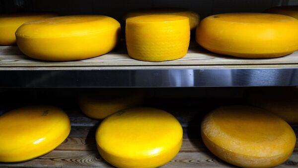 Производство сыра Камамбер в Краснодарском крае - Sputnik 日本