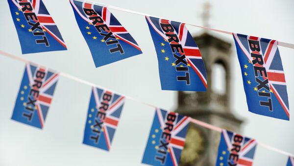 Pro-Brexit flags fly from a fishing boat moored in Ramsgate on June 13, 2016. - Sputnik 日本