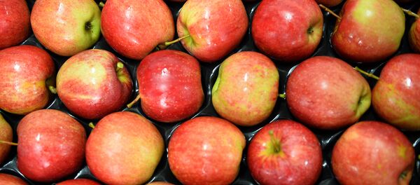 毎日の摂取が必須の3つの食べ物とは? 毎日の摂取が必須の3つの食べ物とは? - Sputnik 日本