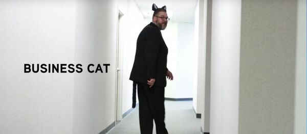 ネコ耳なんかもう古い！これからは電動ネコしっぽがおしゃれ！ - Sputnik 日本